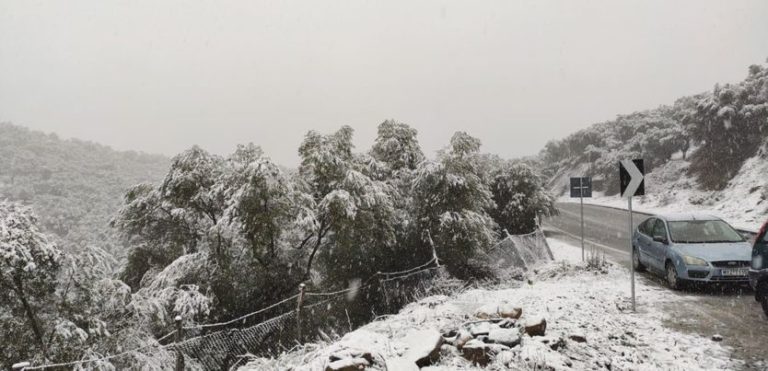 Κλειστά όλα τα σχολεία του Δήμου Μυτιλήνης λόγω χιονόπτωσης – Ανοικτό το οδικό δίκτυο