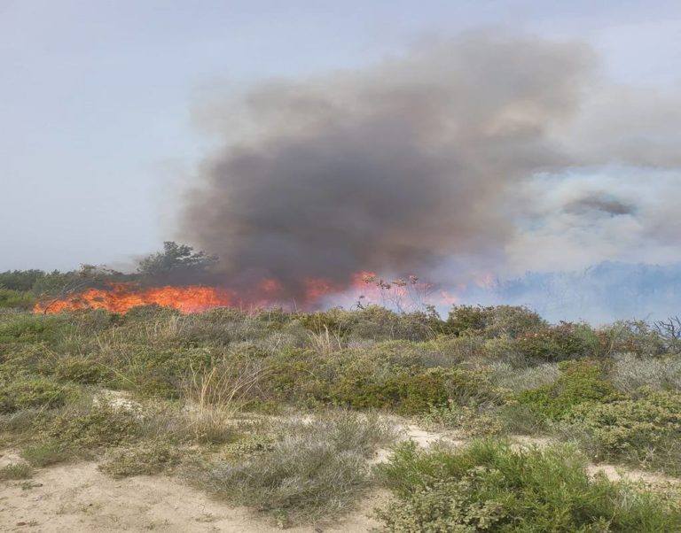 Υπό έλεγχο η φωτιά στη Σορωνή της Ρόδου