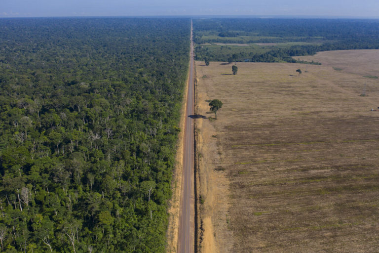 Αμαζόνιος: Η αποψίλωση του τροπικού δάσους έσπασε ρεκόρ το πρώτο τρίμηνο του έτους