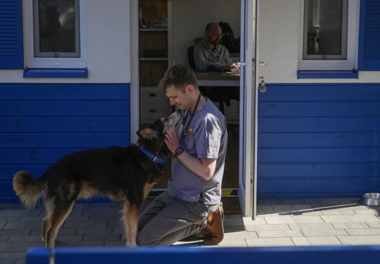 Η Ελλάδα «δίπλα» στα ζώα συντροφιάς των Ουκρανών προσφύγων – Προσέφερε 11 τόνους ζωοτροφών και υγειονομικού υλικού