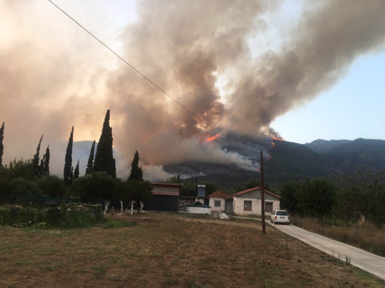 Πελοπόννησος: Προκαταβολή των αποζημιώσεων από τις πυρκαγιές του περυσινού καλοκαιριού