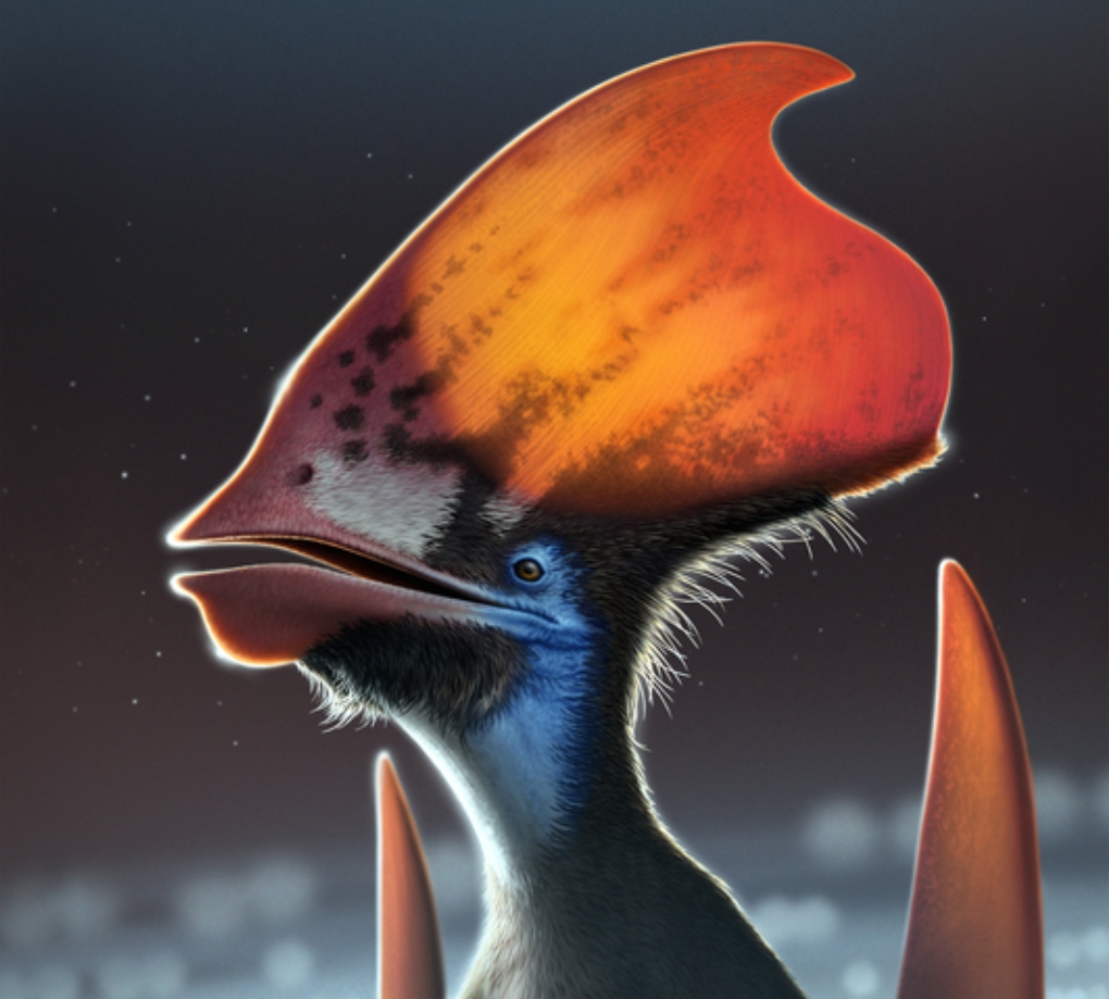 Οι πτερόσαυροι είχαν πολύχρωμα φτερά, αποκαλύπτει νέα μελέτη