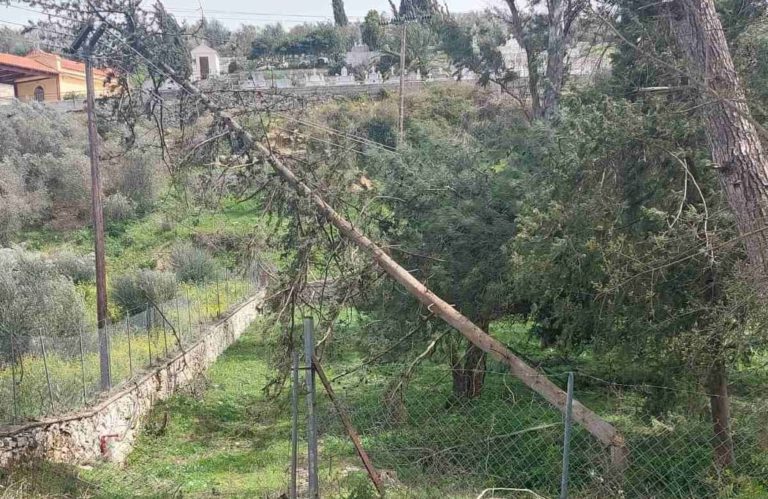 Χανιά: Περισσότερα από 100 δέντρα και τρεις κολώνες της ΔΕΗ  ξερίζωσαν οι θυελλώδεις άνεμοι στον Aποκόρωνα