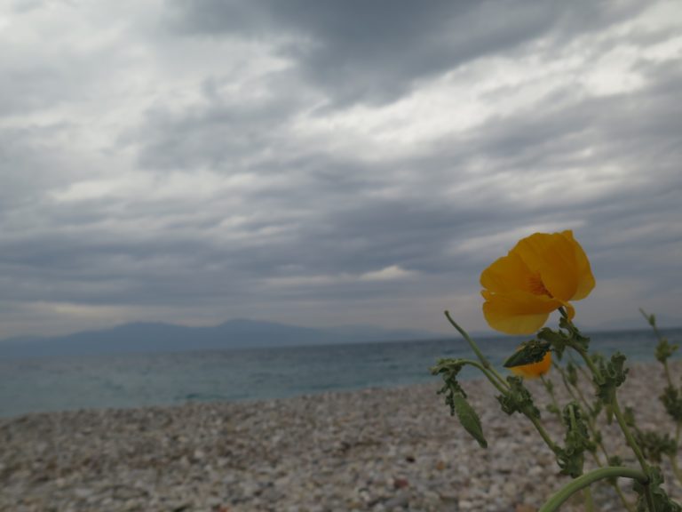 Ο καιρός με τον Παναγιώτη Γιαννόπουλο: Μ. Δευτέρα με βροχές και κρύο, ανοιξιάτικο όμως το Πάσχα