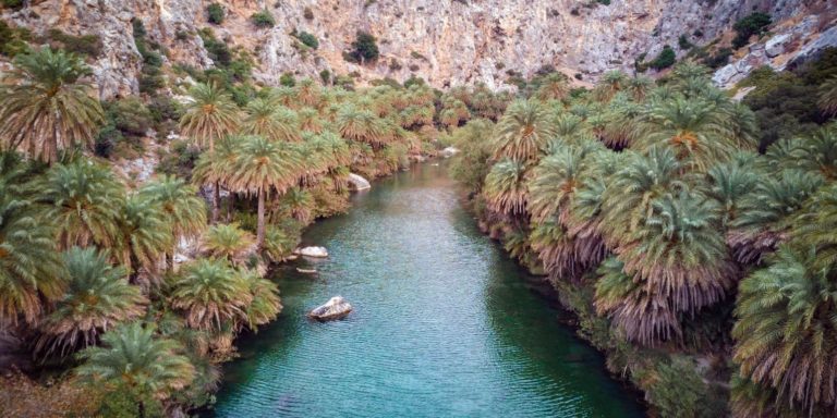 Ρέθυμνο: Σύσκεψη για την αντιμετώπιση κινδύνου από πυρκαγιά στο φοινικόδασος της Πρέβελης
