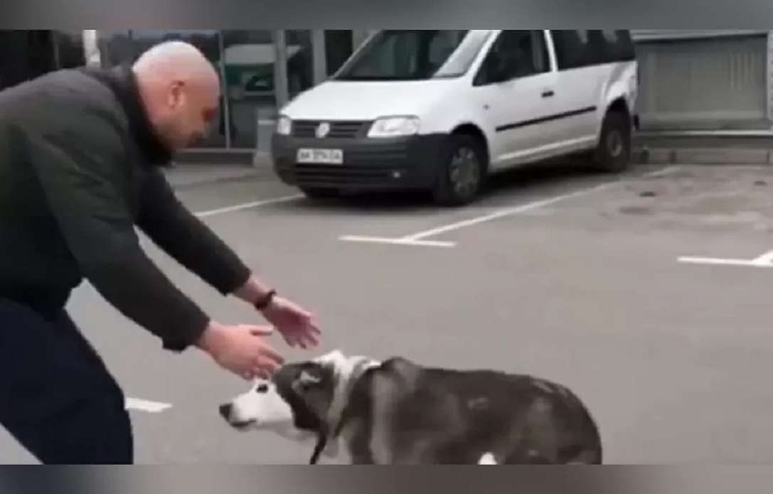 Συγκινητικό βίντεο από την Ουκρανία: Σκύλος και αφεντικό ξανά μαζί μετά από εβδομάδες ρωσικής κατοχής