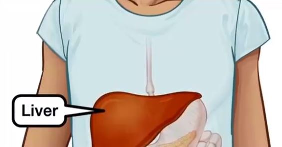 Γ. Πρασσάς στην ΕΡΤ για την οξεία ηπατίτιδα: Ίσως δούμε και σε ενήλικες – Τις επόμενες δύο εβδομάδες θα ξέρουμε πώς προκαλούνται (video)