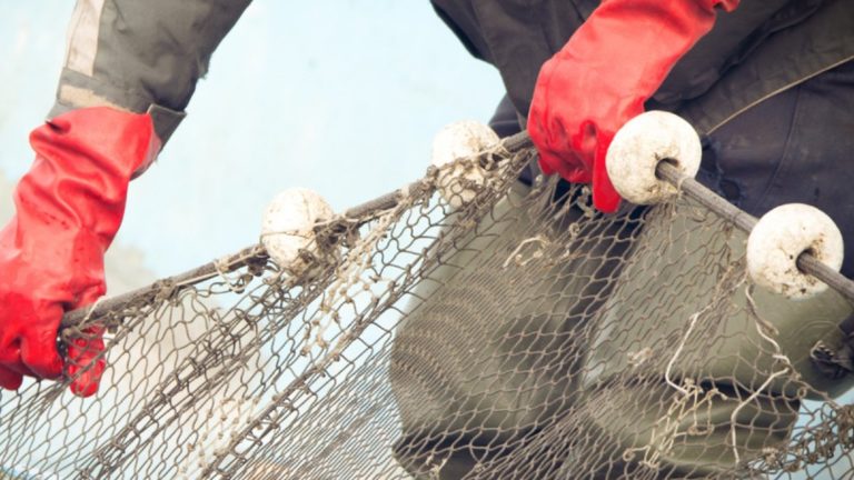 Αγρότες – Αλιείς: Παρατείνεται η απαλλαγή τους από το τέλος επιτηδεύματος και για το 2021