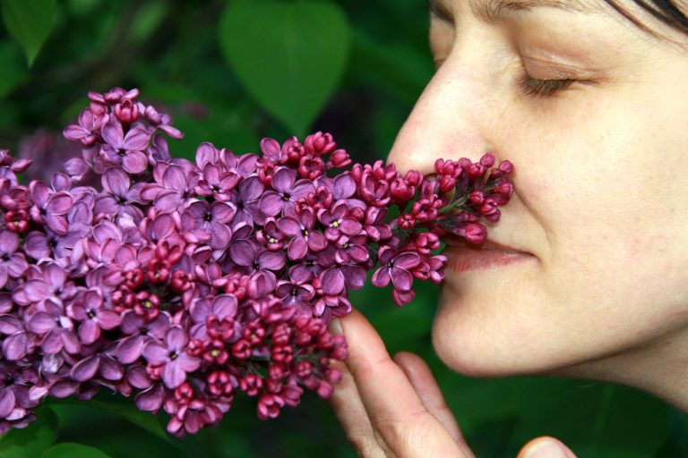 Έρευνα: Οι ίδιες μυρωδιές αρέσουν ή όχι στους ανθρώπους όλου του κόσμου