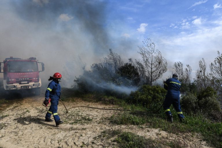 Meteo: Αύξηση 750% στις δασικές πυρκαγιές το πρώτο τρίμηνο του 2022