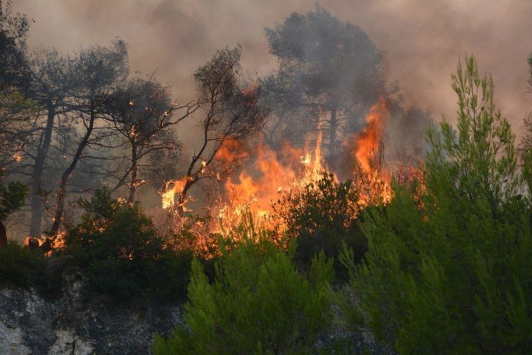 Μεγάλη κινητοποίηση της Πυροσβεστικής λόγω φωτιάς στη Μεταμόρφωση Χαλκιδικής