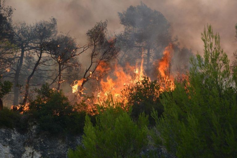 Οριοθετήθηκε η πυρκαγιά στο Νέο Πετρίτσι Σερρών