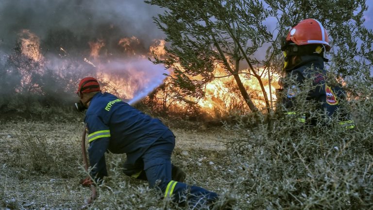 Δύο πύρινα μέτωπα σε Εύβοια και Ναύπακτο