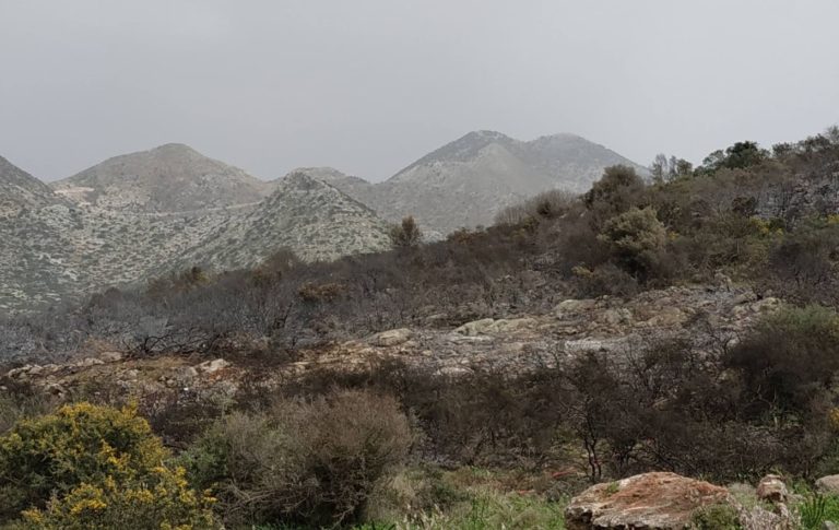 Υπό μερικό έλεγχο η μεγάλη φωτιά στο Μελιδόνι Ρεθύμνου – Κατέκαψε 10 στρέμματα δάσους