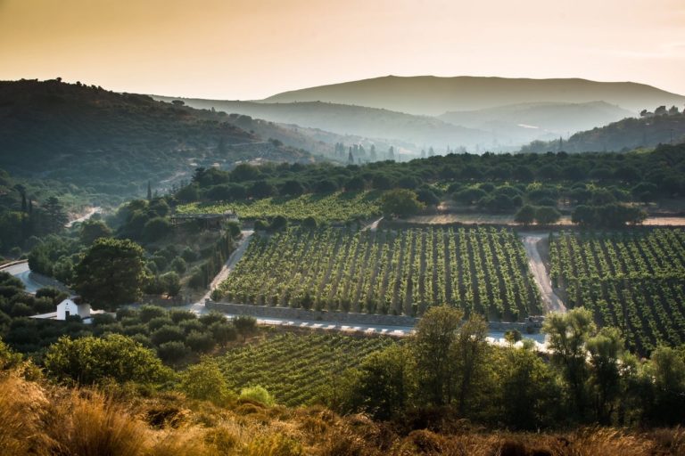 Έκθεση Κρητικού Κρασιού στην Κύπρο 2022 με την στήριξη της Περιφέρειας Κρήτης