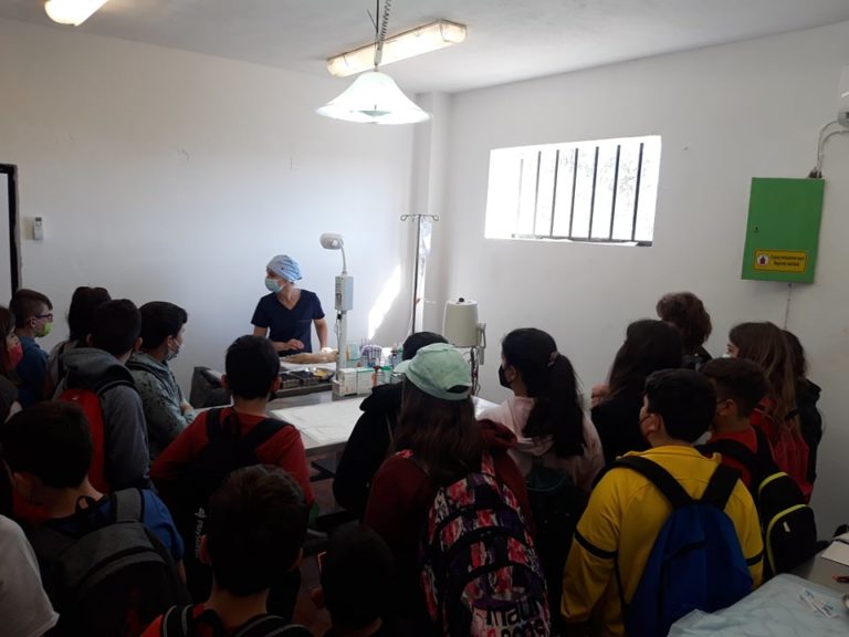 Μαθητές στον Δήμο Αποκορώνου παρακολουθούν σεμινάριο για τα αδέσποτα ζώα
