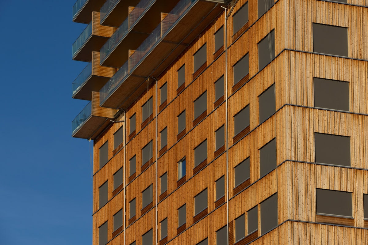 Στη Νορβηγία μεταμορφώνουν τα δέντρα σε ουρανοξύστες