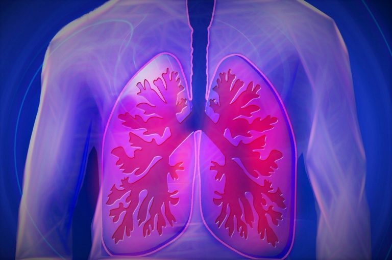 ΗΠΑ: Ερευνητές ανακάλυψαν ένα νέο τύπο κυττάρου στον ανθρώπινο πνεύμονα με αναγεννητικές ιδιότητες
