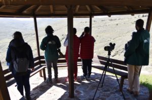 Λέσβος: Ανοιξιάτικες εξορμήσεις στα Πάρκα του Απολιθωμένου Δάσους και τους υγροτόπους της Καλλονής