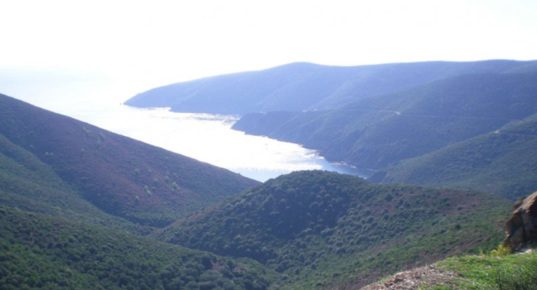 Χαλκιδική: 77χρονος βρέθηκε νεκρός σε παραλία της Σιθωνίας