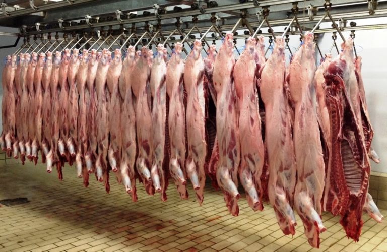 Λέσβος: Απεργούν οι γεωτεχνικοί – Σταματούν οι έλεγχοι στην αγορά