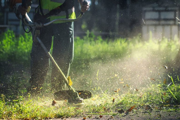 Καρδίτσα: Υπόχρεοι οι ιδιοκτήτες οικοπέδων να καθαρίζουν από χόρτα και κλαδιά τις ιδιοκτησίες τους