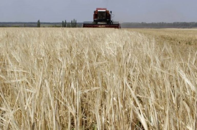 Σερβία: Η κυβέρνηση επέτρεψε την εξαγωγή σιτηρών και ηλιέλαιου