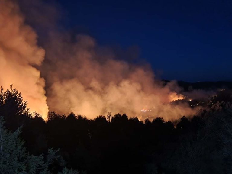 Σε εξέλιξη η δασική φωτιά στον Λακωνικό Πάρνωνα