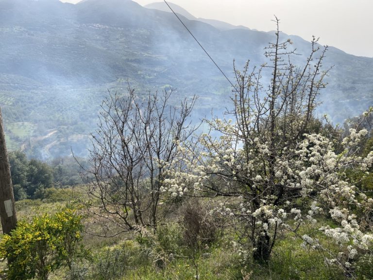 Ηλεία: Ρεκόρ σε συλλήψεις και παραπομπές στο αυτόφωρο για φωτιές