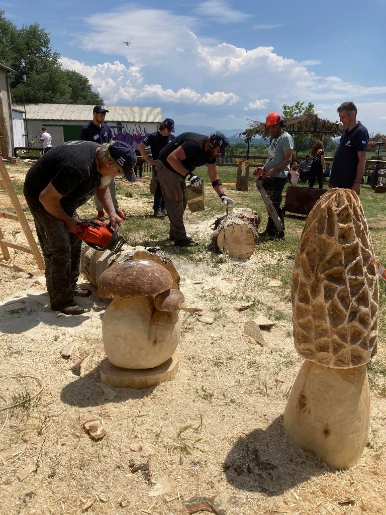 Πτολεμαίδα: Καθιερώνεται ως θεσμός το Συμπόσιο ξυλογλυπτικής