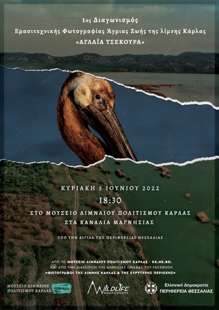 Τελετή απονομής Διαγωνισμού Φωτογραφίας Άγριας Ζωής της Λίμνης Κάρλας