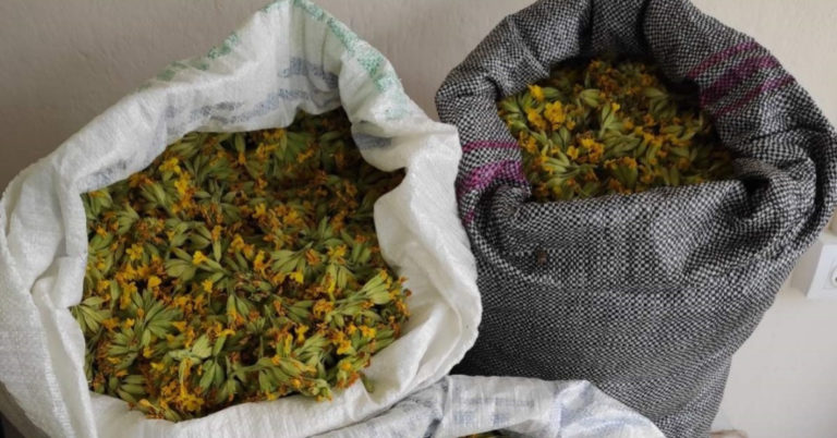 Καστοριά: Συνελήφθησαν με 28 κιλά αρωματικών φυτών