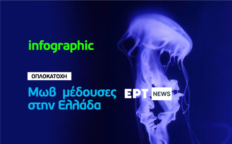 Infographic – Μωβ μέδουσα: Πού «συχνάζει», ποιά τα συμπτώματα μετά από την επαφή, οι απαραίτητες πρώτες βοήθειες