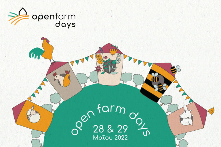 Open Farm Days 2022: Ανακαλύψτε τα ανοιχτά αγροκτήματα