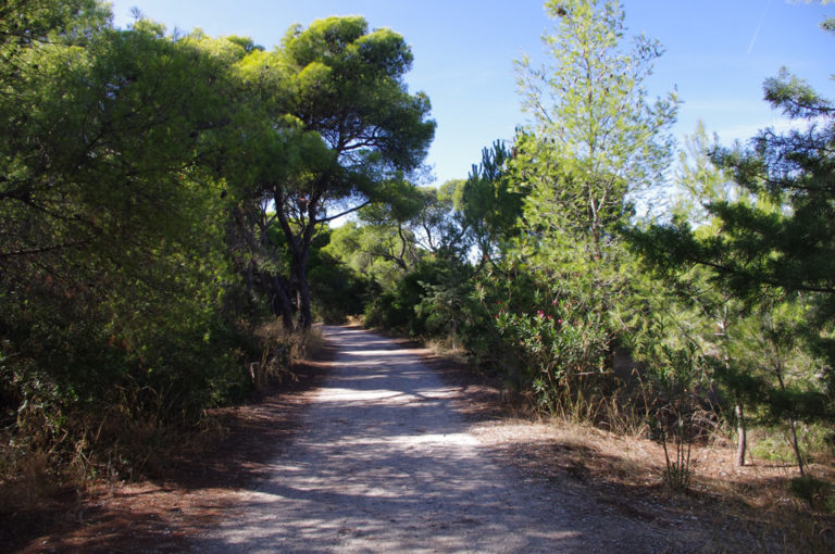 Έως 31 Μαΐου η προθεσμία υποβολής αντιρρήσεων κατά του περιεχομένου των δασικών χαρτών