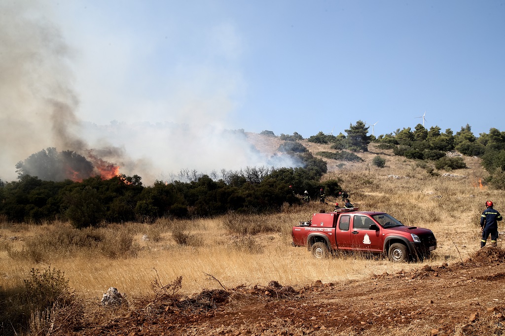 WWF Ελλάς: Έκθεση για τα οικονομικά των δασικών πυρκαγιών – Τα 5 κύρια συμπεράσματα