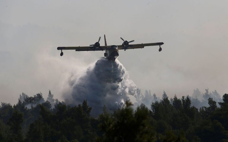 Φωτιά στην περιοχή Στανός στη Χαλκιδική