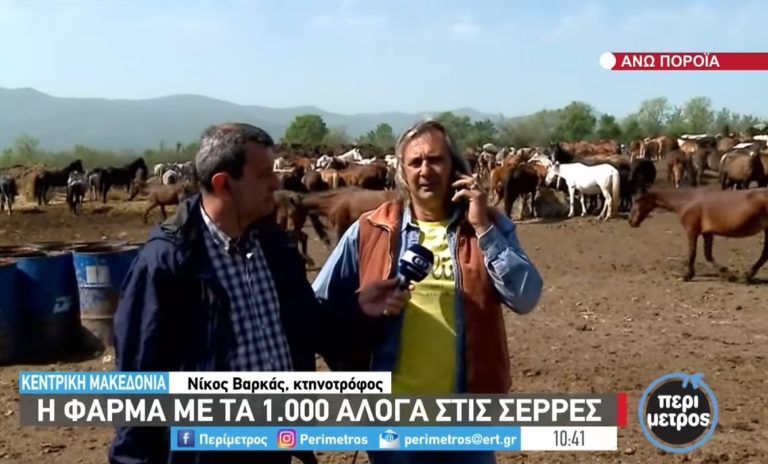 Άνω Πορόια: Η φάρμα με τα χίλια άλογα (βίντεο)