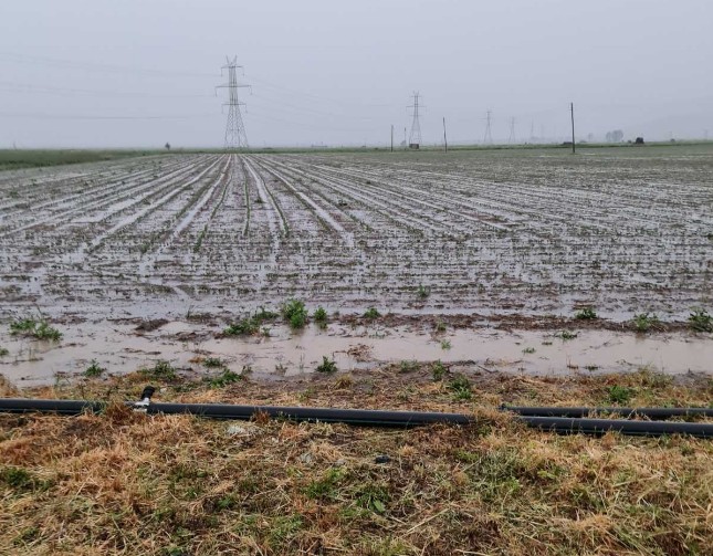 Καρδίτσα: Ζημιές από τις έντονες βροχοπτώσεις στο Δήμο Σοφάδων – Στην περιοχή κλιμάκιο του ΕΛΓΑ