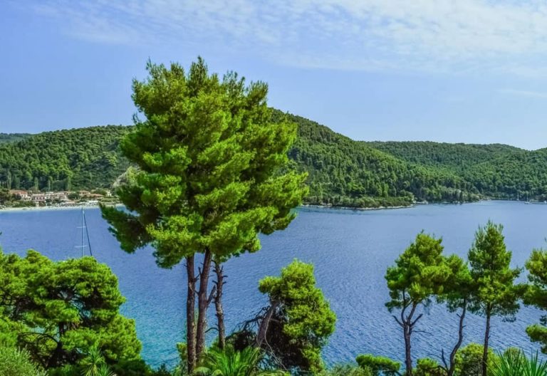 Σκόπελος: Προληπτικές παρεμβάσεις σε δάση – Χωρίς seatrac και φέτος τρεις παραλίες
