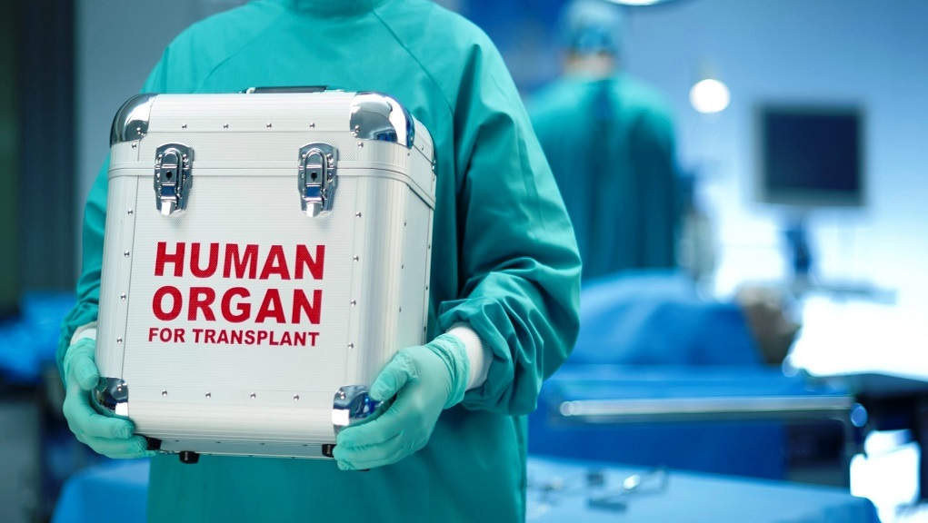 Νοσοκομείο Ιωαννίνων: Ολοκληρώθηκε η λήψη οργάνων για δωρεά από 47χρονο – Σε τρία νοσοκομεία οι λήπτες