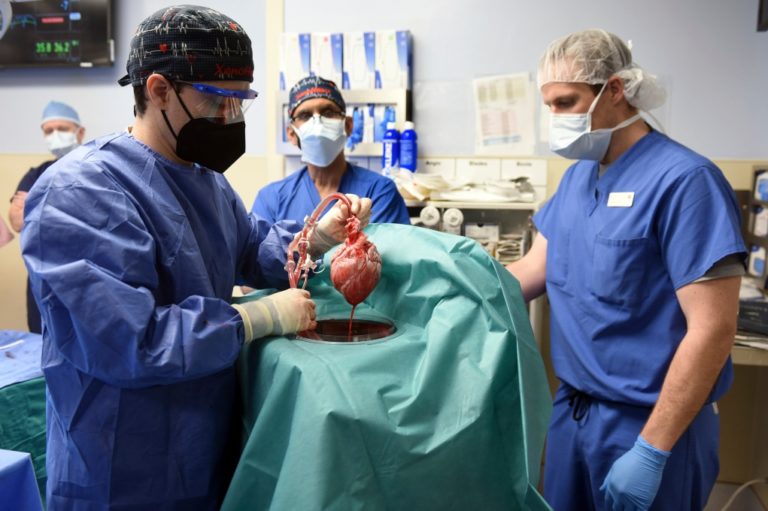 Η καρδιά χοίρου που χρησιμοποιήθηκε σε μεταμόσχευση είχε μολυνθεί από ιό