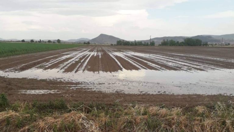 Μεγάλες ζημιές απο χαλαζόπτωση στα Φάρσαλα