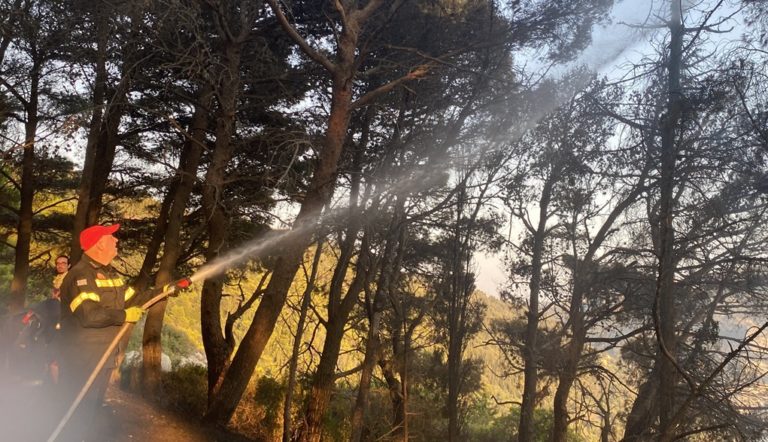 Τέσσερις πυρκαγιές ταυτόχρονα στην Κεφαλονιά: Δύο δασικές, μία σε σπίτι και μία σε ιστιοπλοϊκό