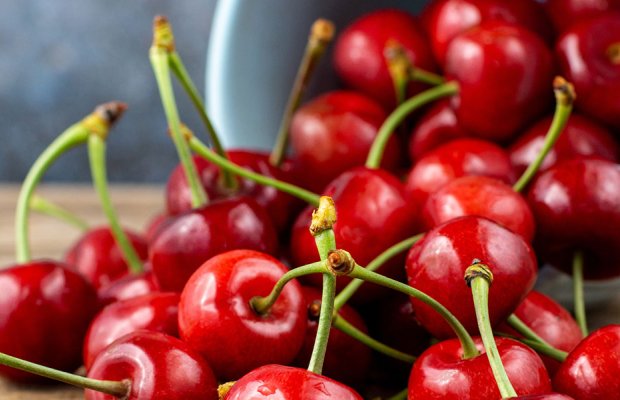 Η έλλειψη εργατικών χεριών προβληματίζει τους κερασοπαραγωγούς της Αγιάς