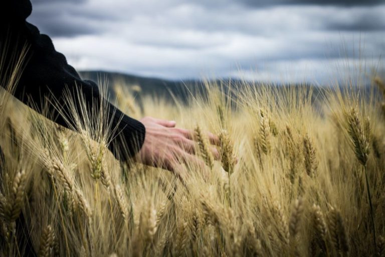 Παγκόσμια έλλειψη σιταριού και λαδιού προβλέπει ο Διοικητής της Τράπεζας της Αγγλίας