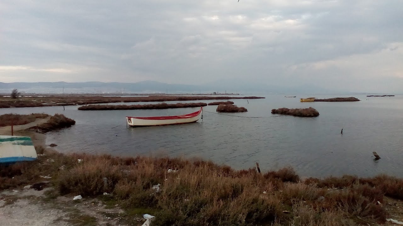 Θεσσαλονίκη: Ακέφαλο και ακρωτηριασμένο πτώμα ανασύρθηκε από τη θαλάσσια περιοχή Καλοχωρίου