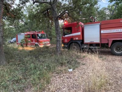 Βόλος: Πυρκαγιά έξω από τον Αλμυρό – Καίει θαμνώδη βλάστηση – 11 άνδρες στην μάχη της κατάσβεσης