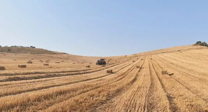 Αρνητικά ρεκόρ στην αγροτική παραγωγή της περιφέρειας Γρεβενών