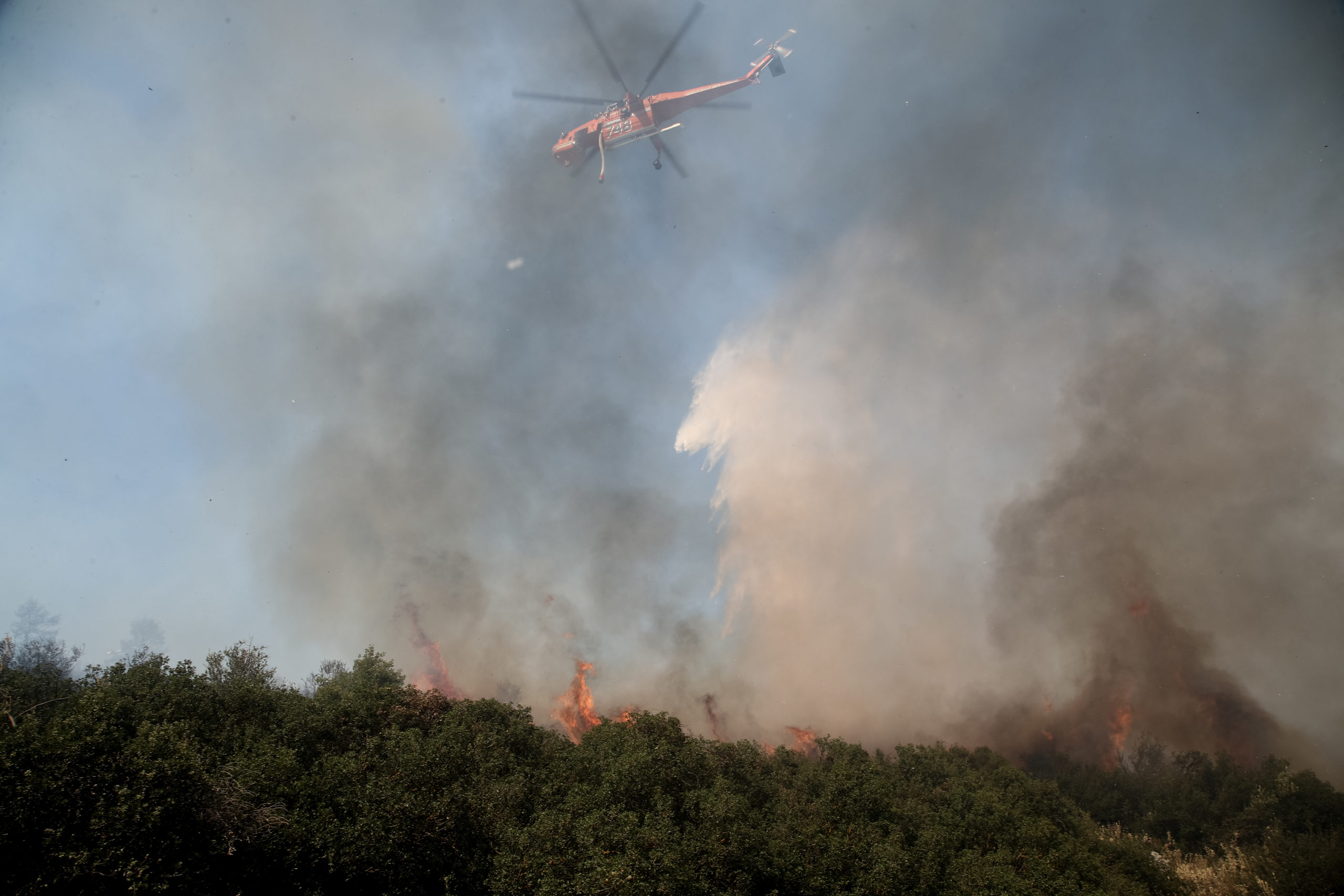 Yψηλός κίνδυνος πυρκαγιάς αύριο, Παρασκευή 24/6 – Ποιες περιοχές είναι στο «κίτρινο»